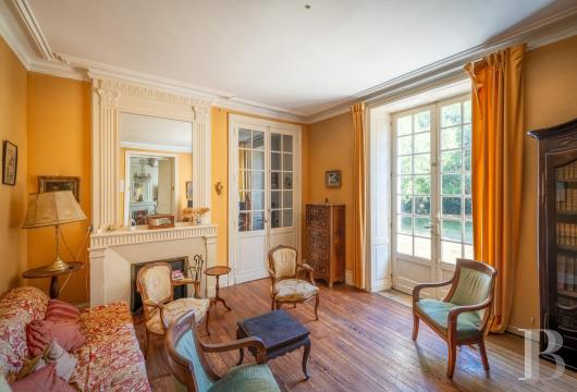 chateaux for sale France poitou charentes   - 10
